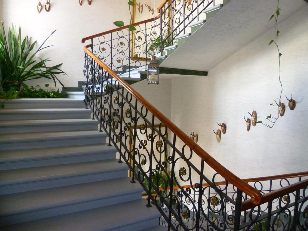 Hotel Koruna เยเซนิค ภายนอก รูปภาพ